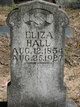  Eliza Elizabeth <I>Morton</I> Hall