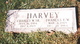  Frances Ella <I>Woods</I> Harvey