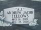 Andrew Jacob Fellows Photo