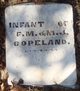  Infant Copeland