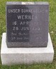  Werner Unknown