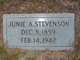  Junie A Stevenson