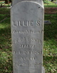  Lillie S Snow