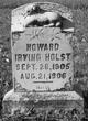  Howard Irving Holst