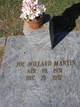  Joseph "Joe" Willard Martin
