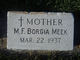 Mother Mary Francis Borgia Meek