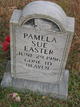 Pamela Sue Easter Photo