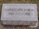  Harriett Ann Morgan