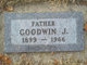  Goodwin Julius Orvik