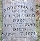  Adolphus M Ward