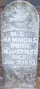  W. L. Hammons