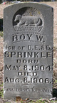  Roy W. Sprinkle