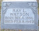  Ray L Watson