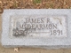  James Robertson McDearmon