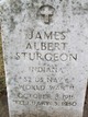  James Albert Sturgeon