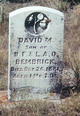  David M. Bembrick