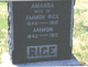  Ammon Rice