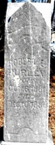  Robert E. Hurley