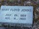  Mary Ann <I>Floyd</I> Johns