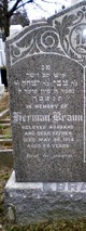  Herman Braun