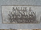  Sallie Elizabeth <I>Carter</I> Johnston