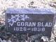  Goran Blad