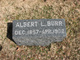  Albert L. Burr