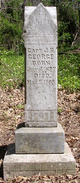 Capt Joseph H. George