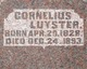  Cornelius Luyster