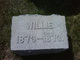  Willie Nelson