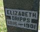  Elizabeth <I>Myers</I> Dripps