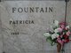 Patricia Hallman Fountain Photo