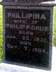  Phillipina <I>Rumpf</I> Grub