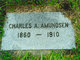  Charles A Amundsen