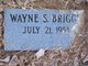  Wayne S. Briggs