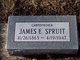  James E. Spruit