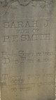  Sarah Jane <I>Parker</I> Smith
