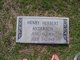  Henry Herbert Anderson