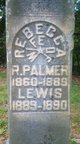  Lewis Palmer
