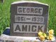  George Washington Amick