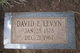  David Edward Levyn