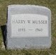  Harry William Musser