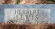  Herbert Lewis
