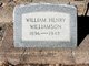  William Henry Williamson