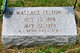  M. Wallace “Wally” Felton Jr.