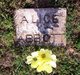  Alice Frances <I>Daugherty</I> Abbott
