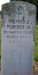  Henry S. Forbes Jr.