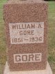  William Alfred “W A” Gore
