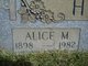  Alice Maud <I>Hester</I> Hoy