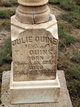  Julie Quine